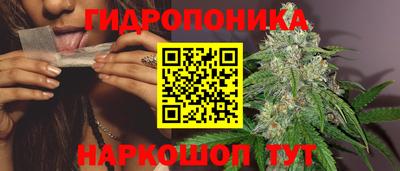 каннабис Будённовск