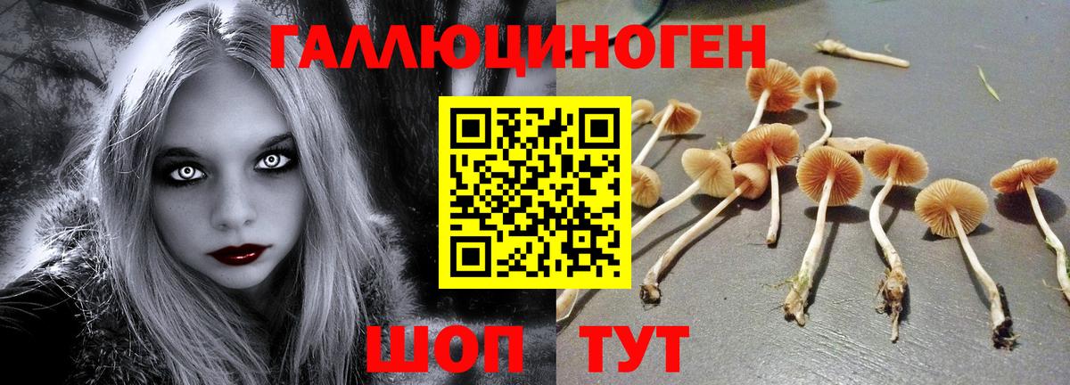 Псилоцибиновые грибы GOLDEN TEACHER Тейково